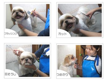 price-pic01
